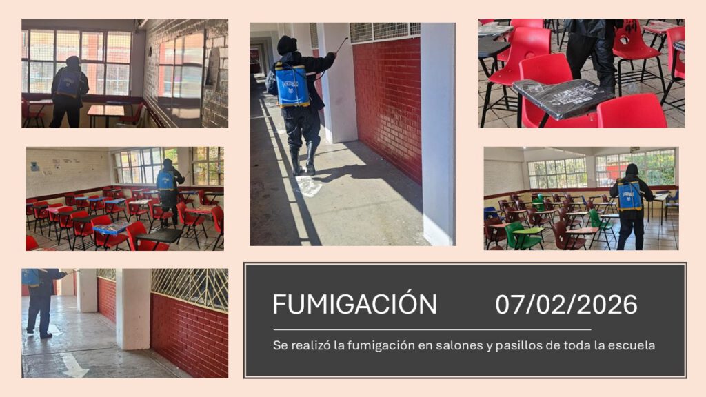 fumigacion 07 4