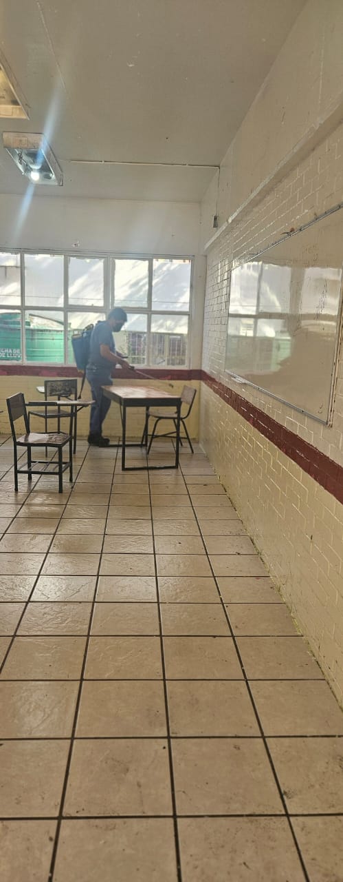 whatsapp image 2024 11 09 at 11.14.39 am