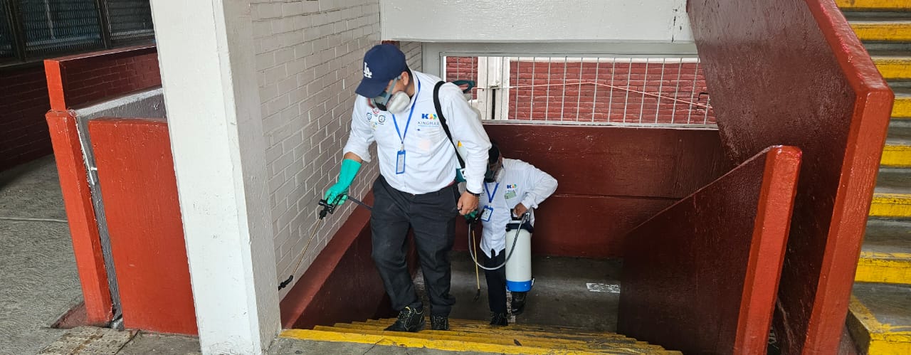 whatsapp image 2025 05 10 at 10.56.27 am 2