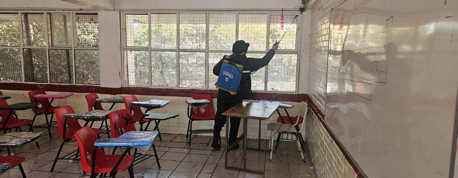 whatsapp image 2026 02 08 at 3.10.13 pm